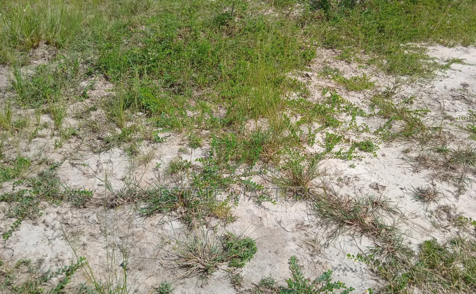 Accessible Lands