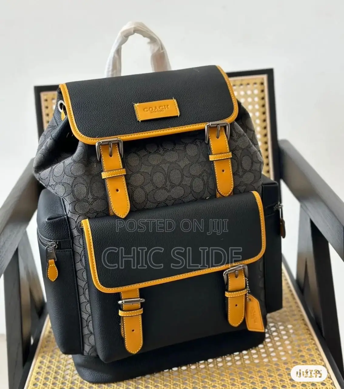 Luxury Backpacks