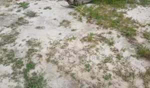 Demarcated Site Up for Sale.