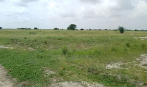 Affordable Lands Up for Sale.