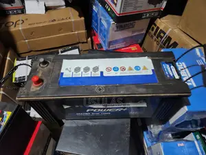 European Standard Battery for Sale