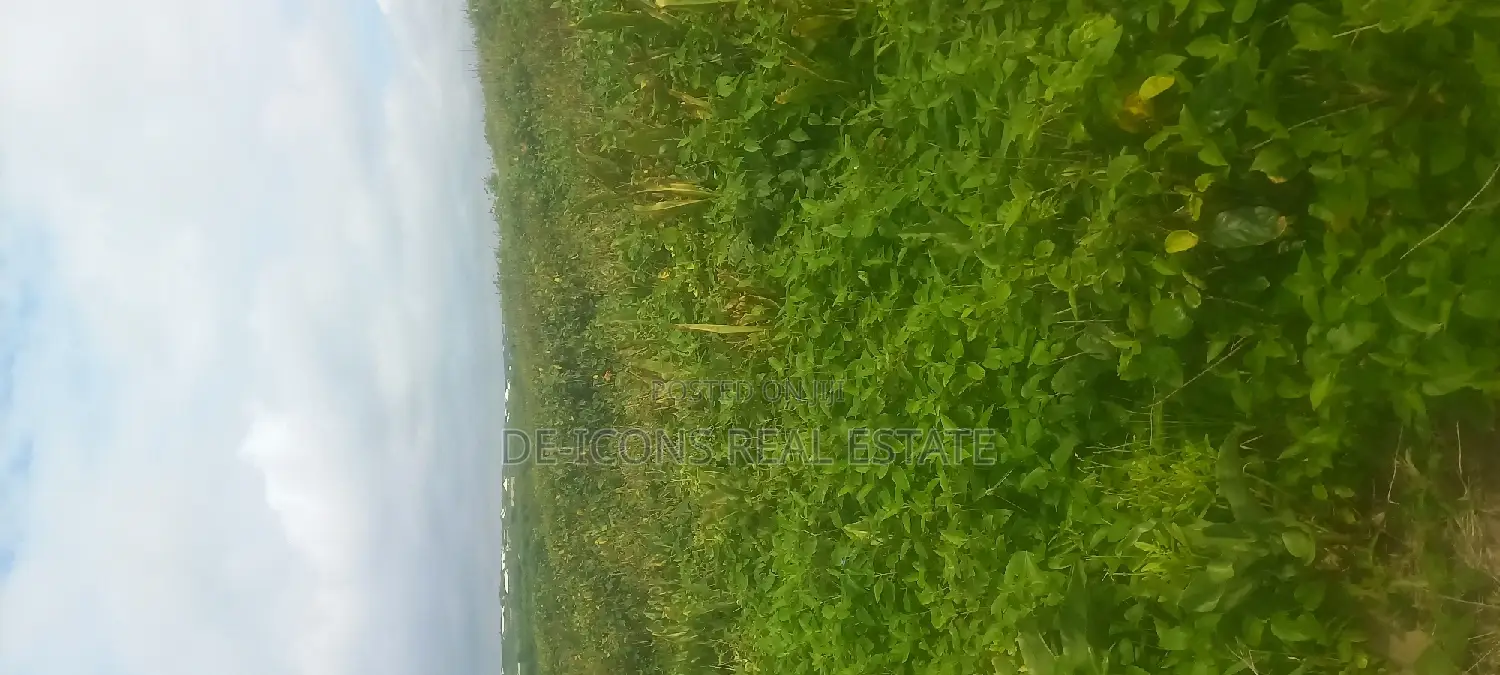 Sea View( 4plots) Land in Kasoa Near Whitesand Beach