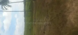 Sea View( 4plots) Land in Kasoa Near Whitesand Beach