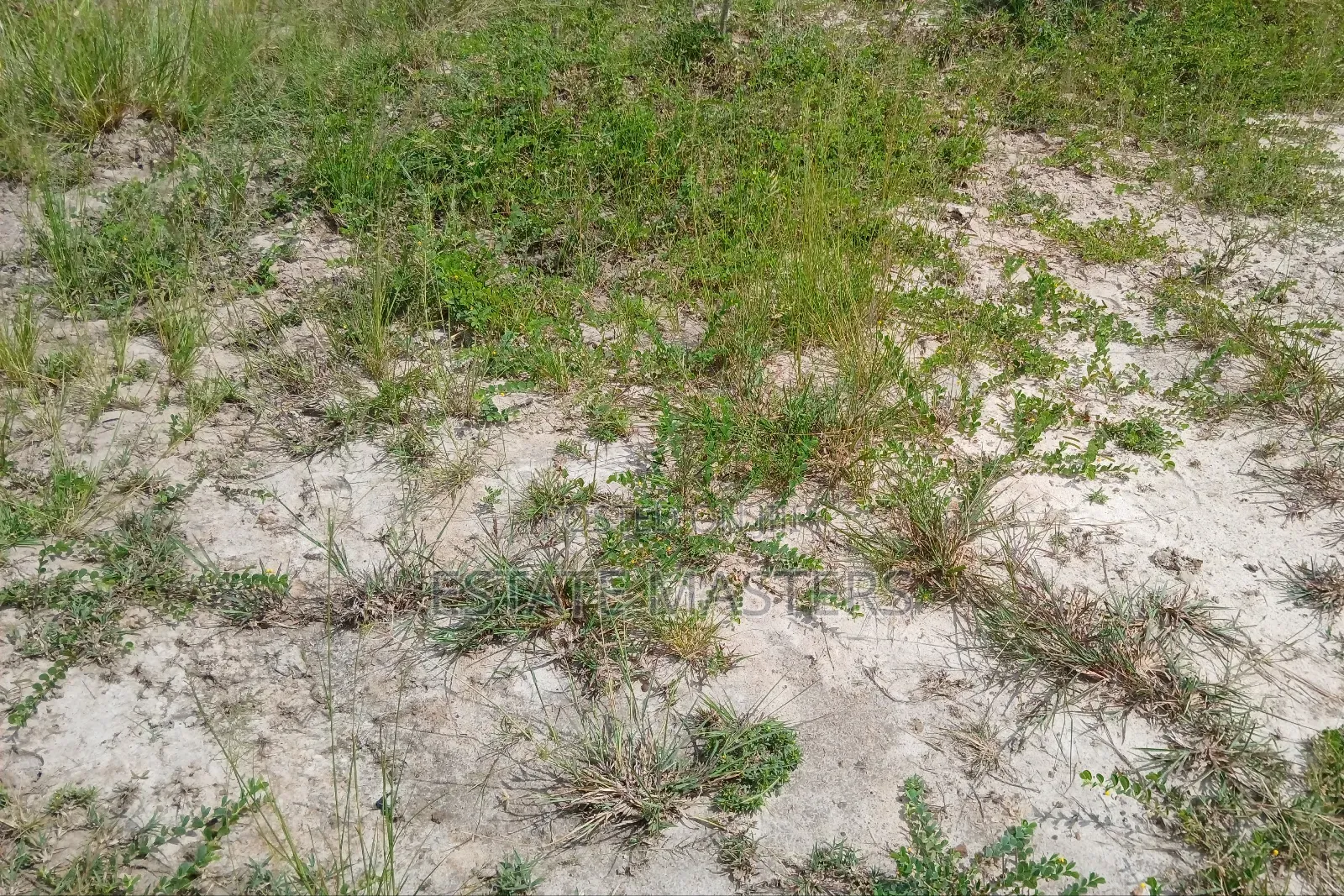 Land for Sale at Dwellys.