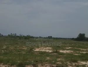 Don't Delay: Acquire a Land Today