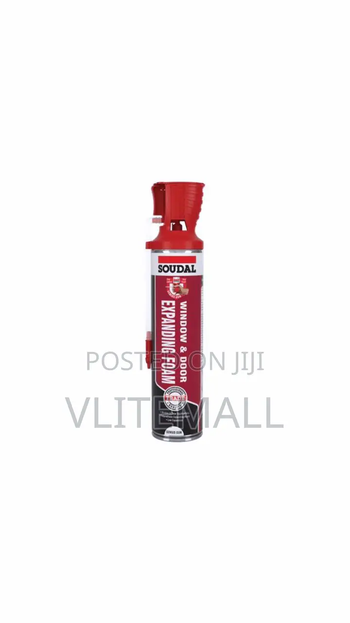 Soudal Window & Door Expanding Foam