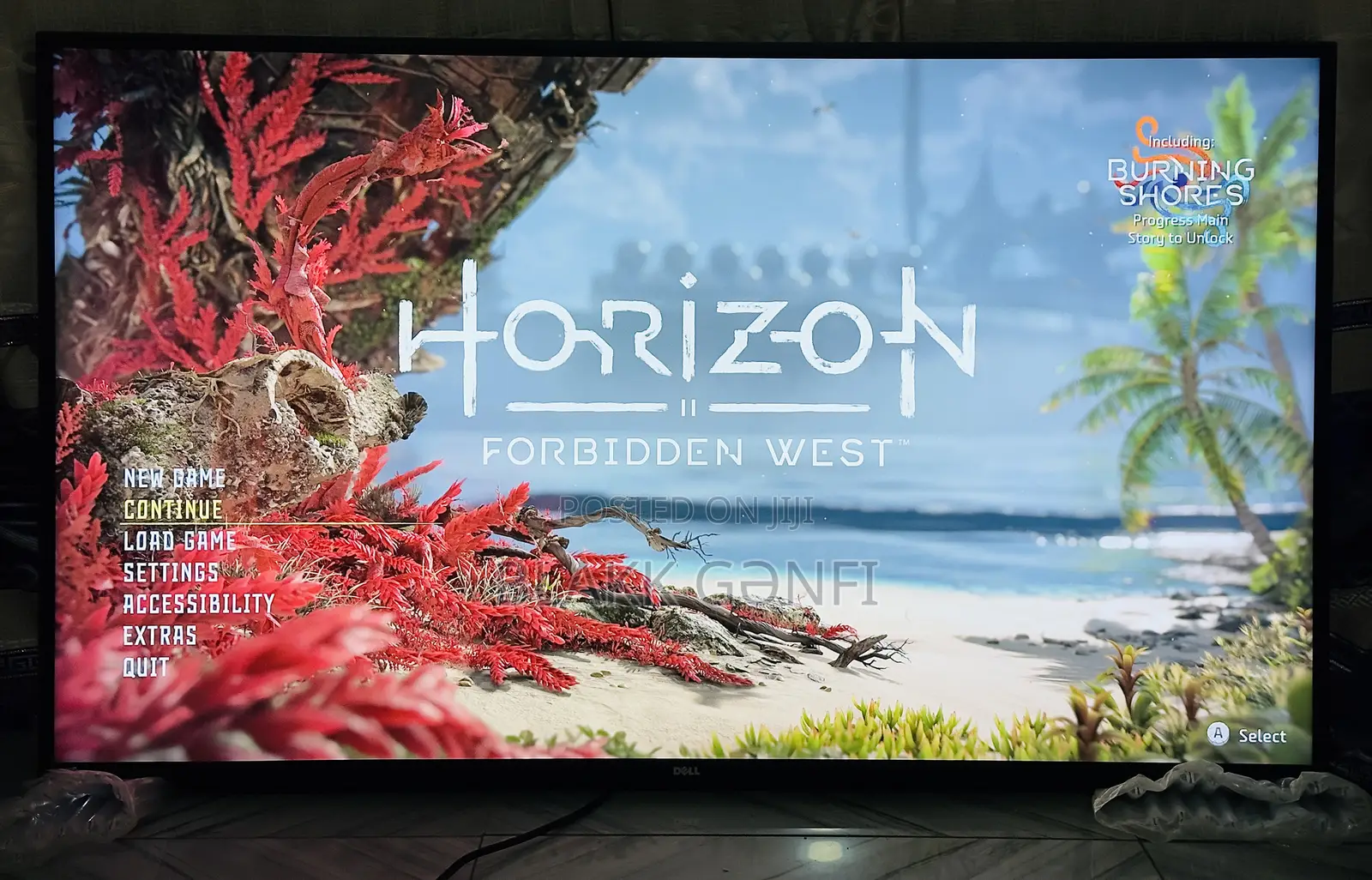 Dell 55”Inches 4k Ips Conference/Gaming Monitor