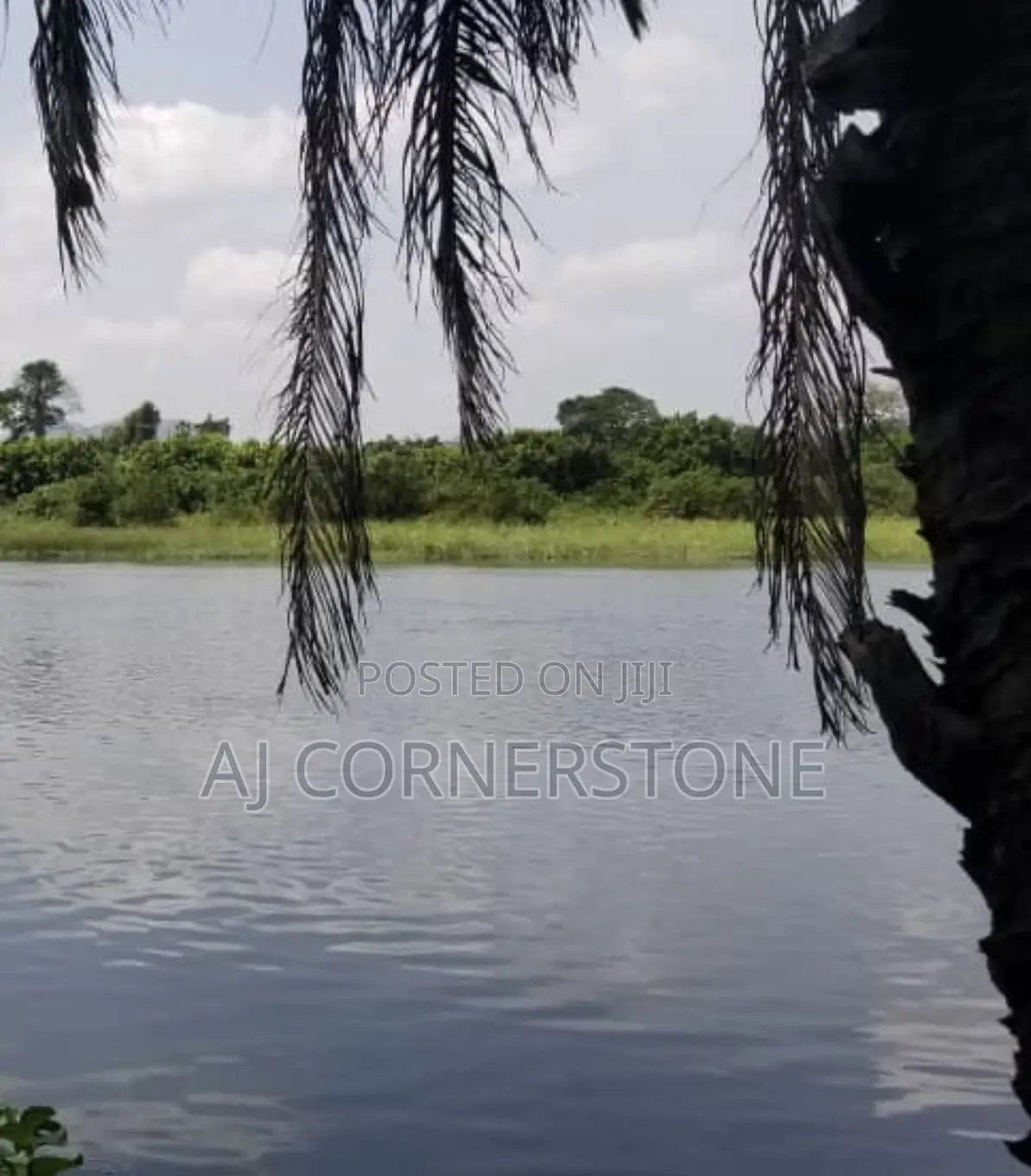 Acres of Land at Volta Region Kpeve
