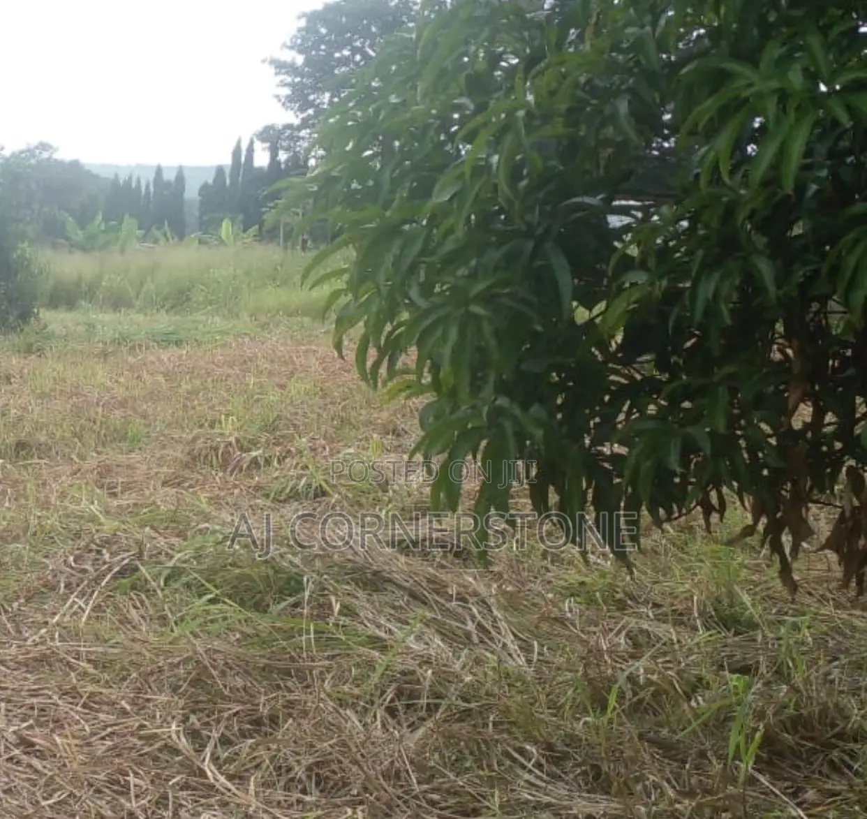 Acres of Land at Volta Region Kpeve