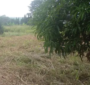 Acres of Land at Volta Region Kpeve