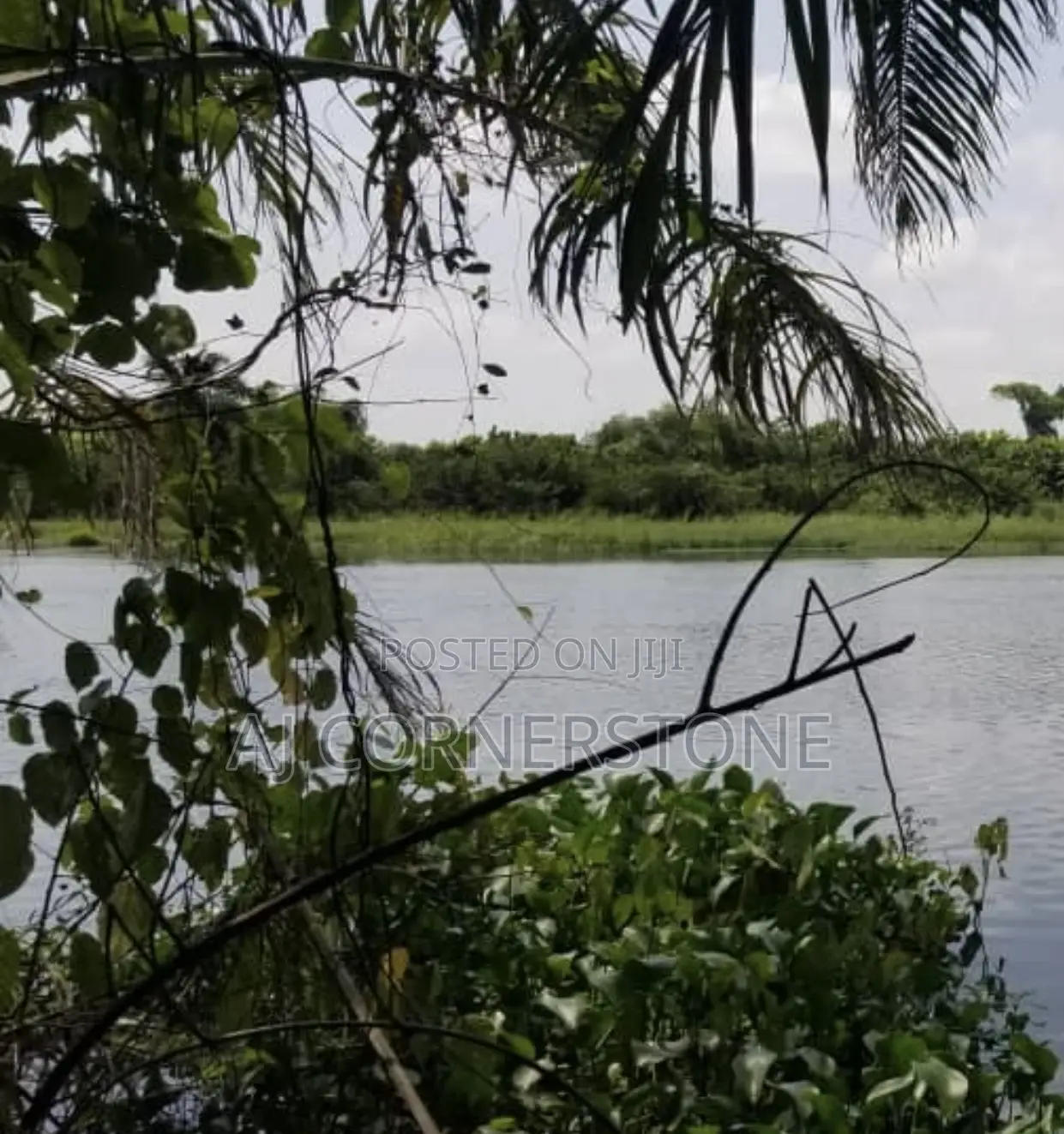 Acres of Land at Volta Region Kpeve