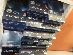 Led Light Bulb X-Willtop 5000w
