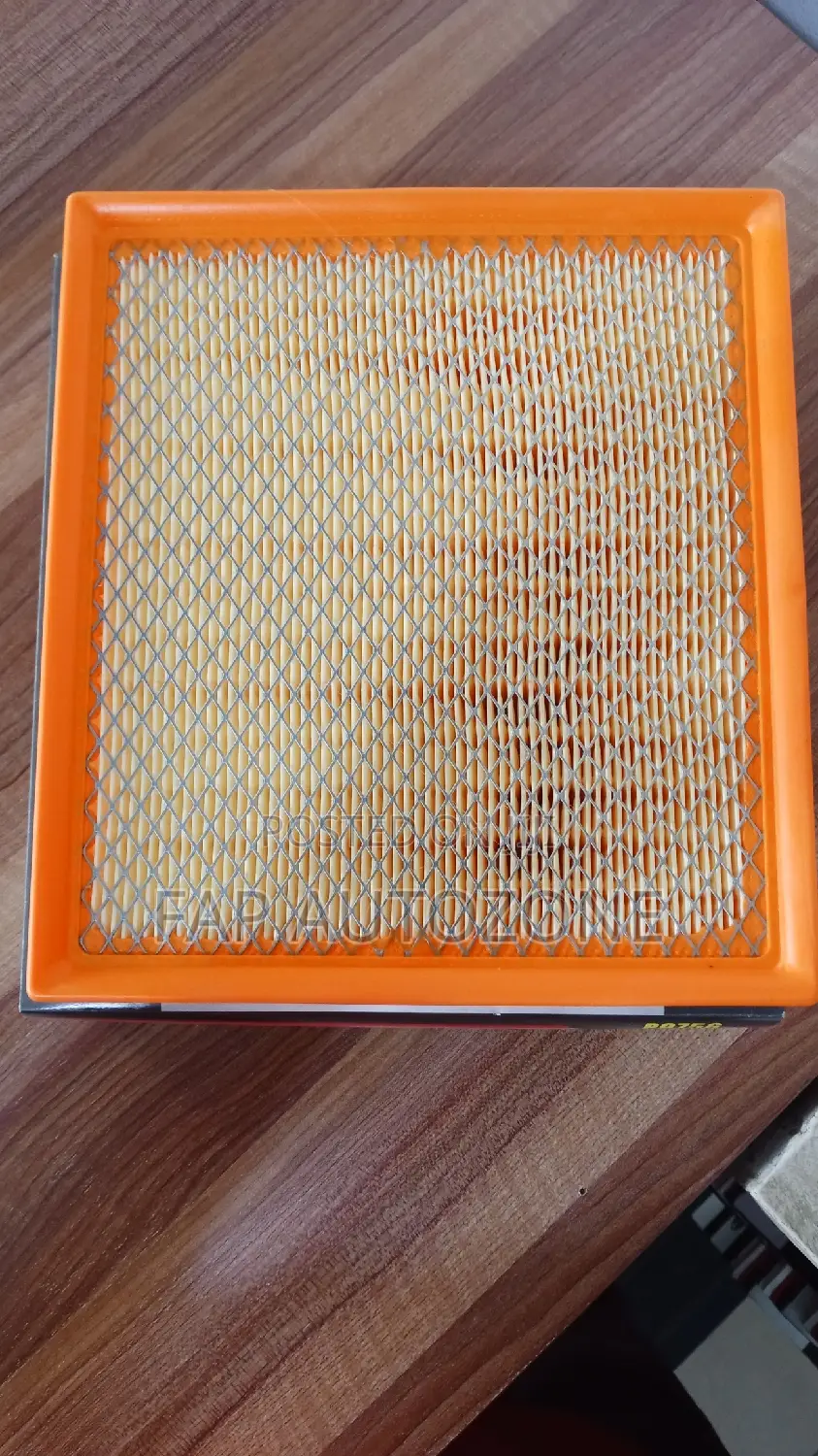 01652. Original Dodge, Jeep Air Filter From Usa. P9756