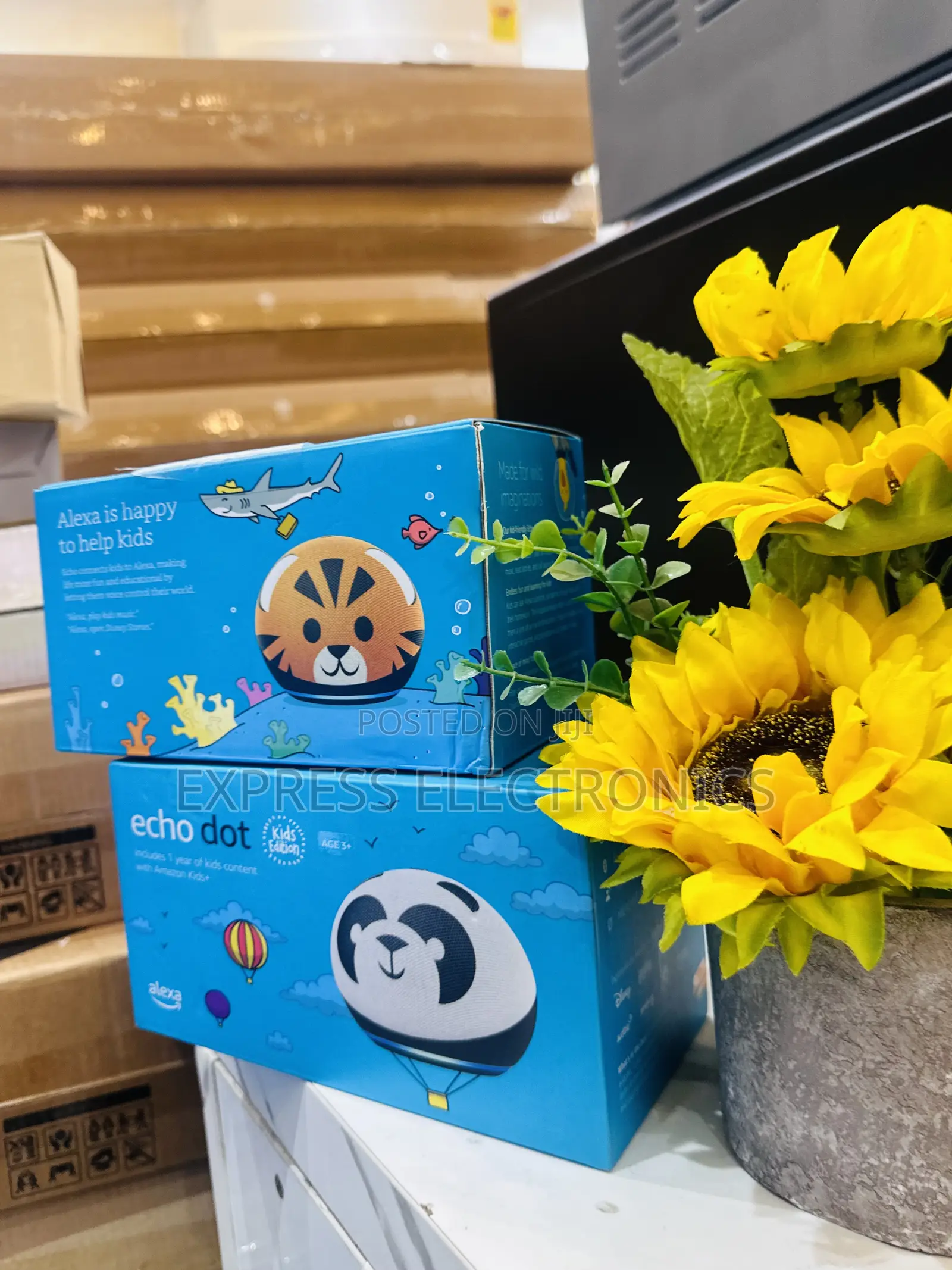 Amazing Echo Dot Kids Bluetooth Speaker