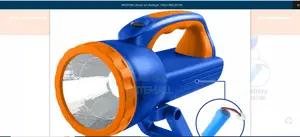 Cordless Flashlight - WFL20110