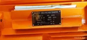 40hp Electric Induction Motor