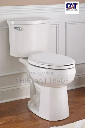 Toilet Seat Water Closet