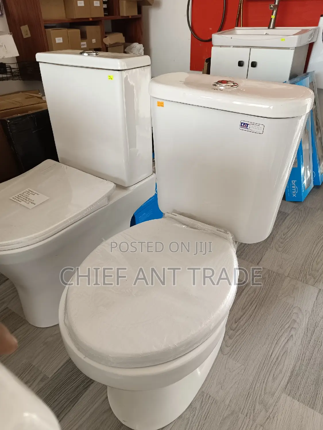 Toilet Seat Water Closet