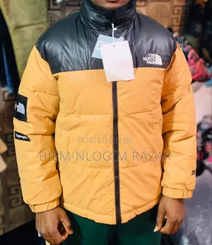 Quality North Face Gucci Winter Jacket Available