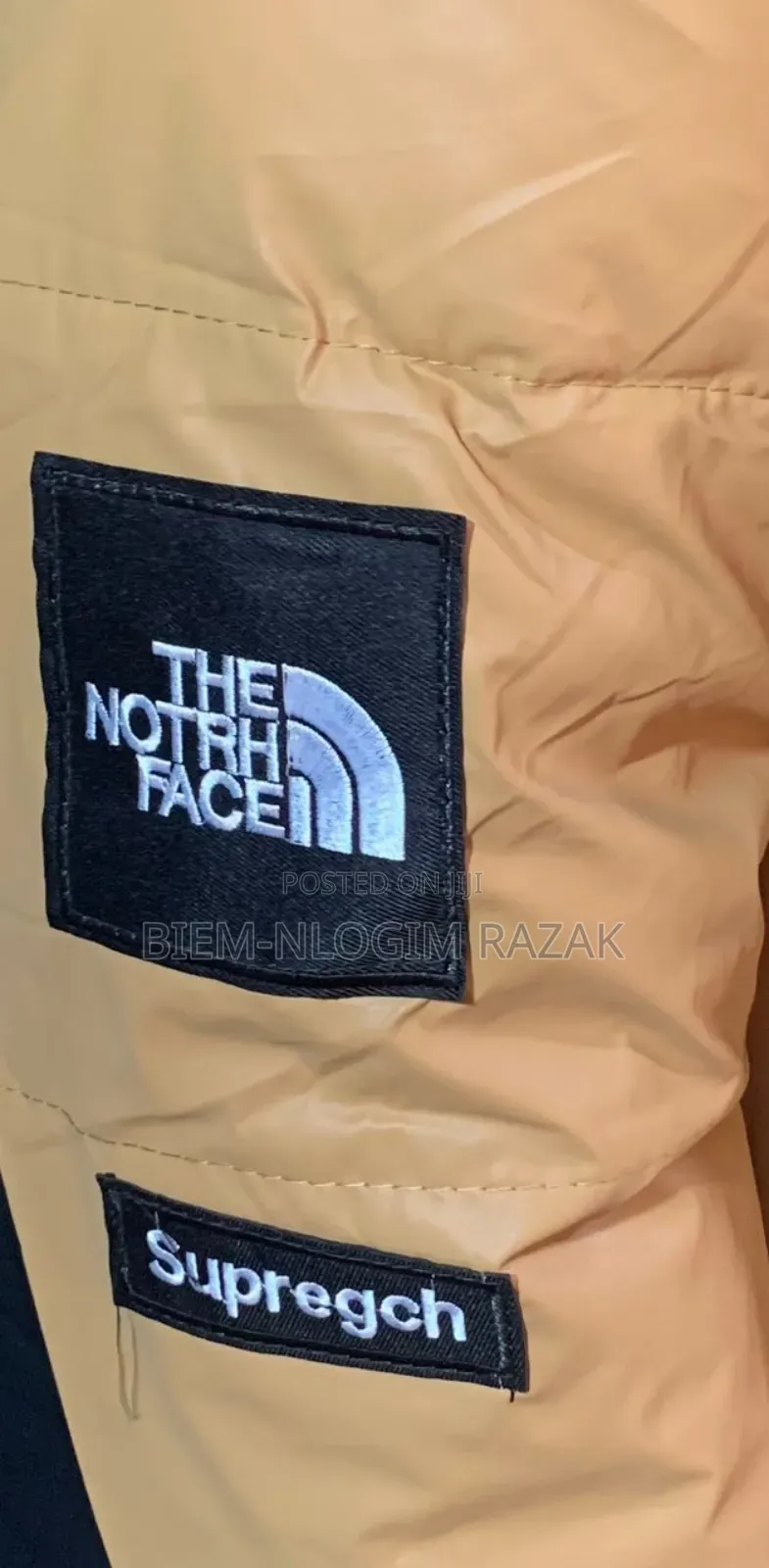 Quality North Face Gucci Winter Jacket Available