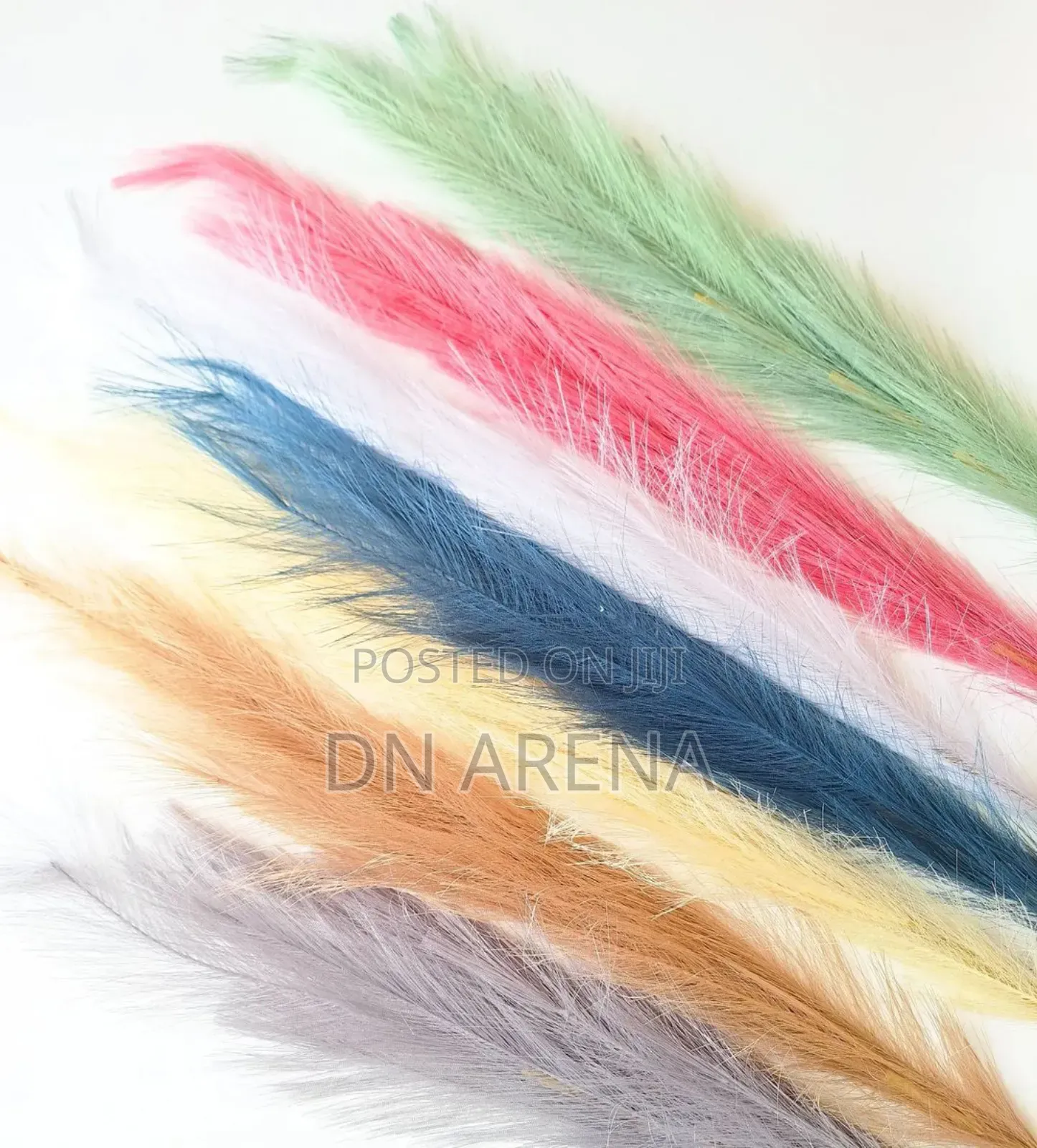Colorful Pampas Grass in a Bottle 100cn