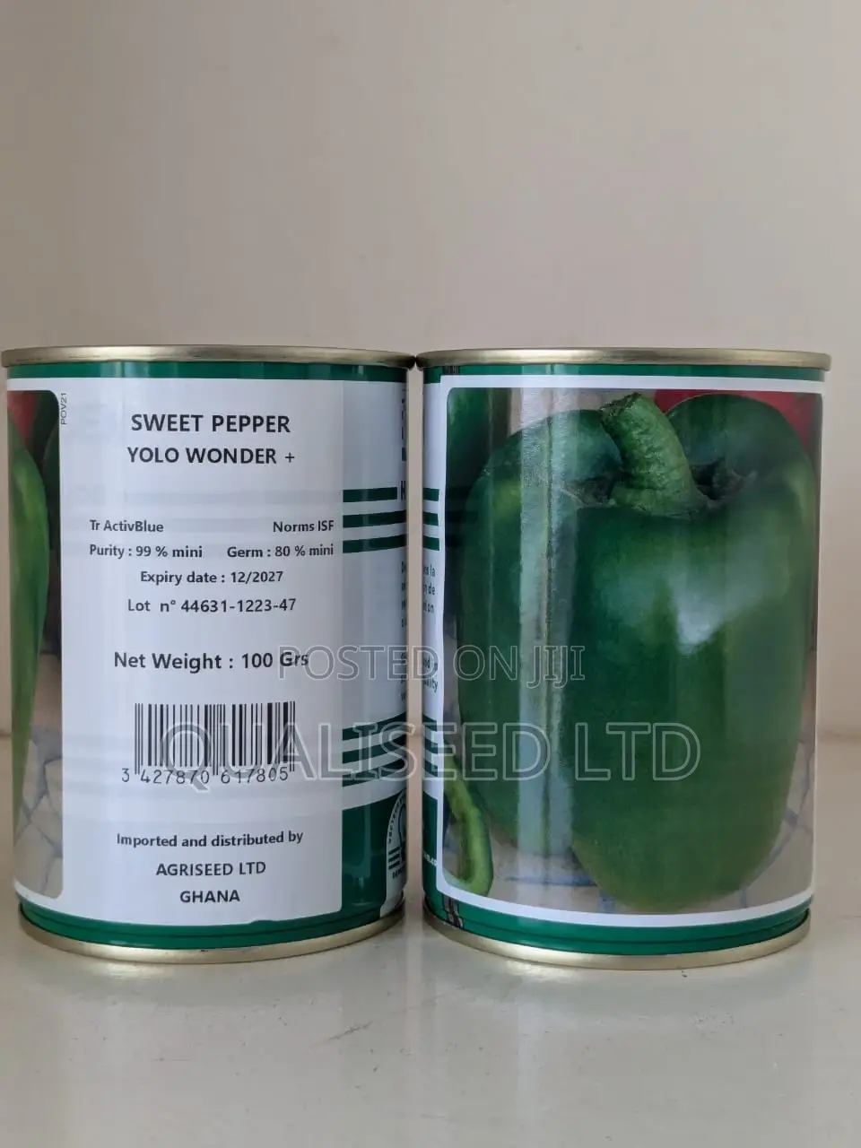 Sweet Pepper - Yolo Wonder [100g]