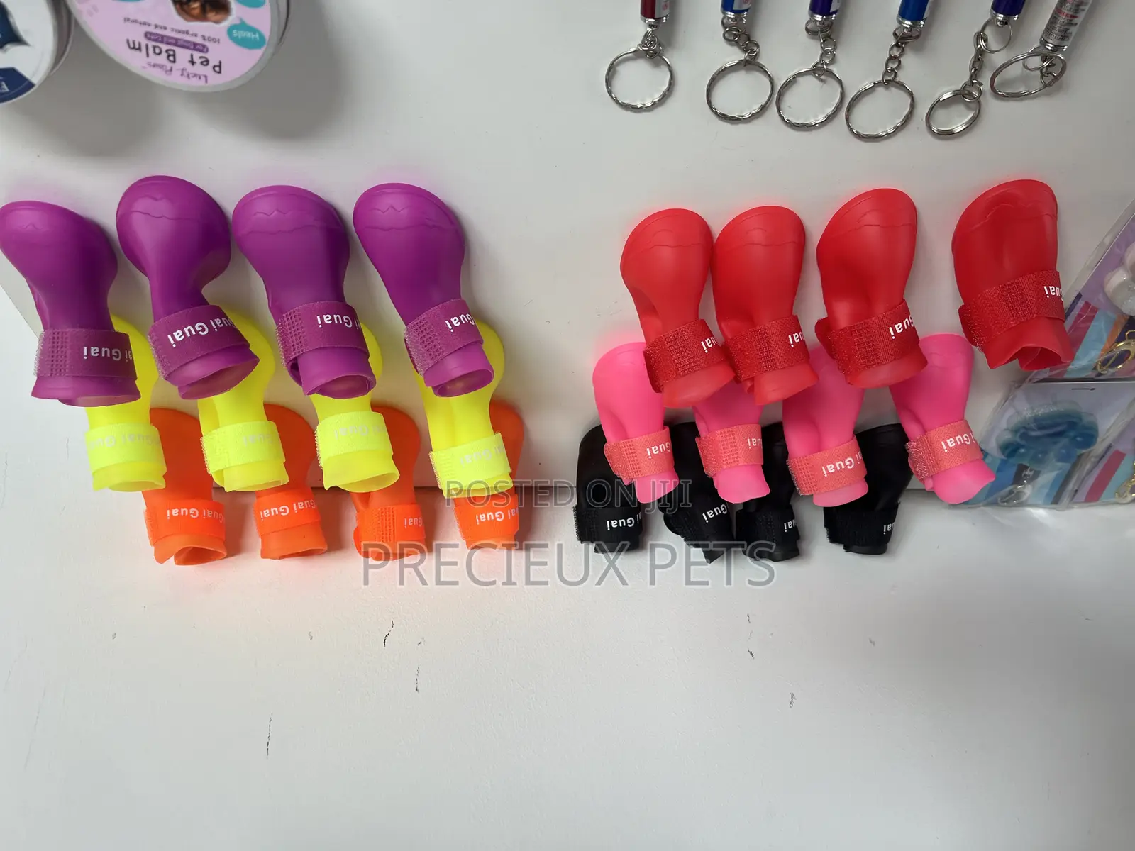Toy Dogs Shoes