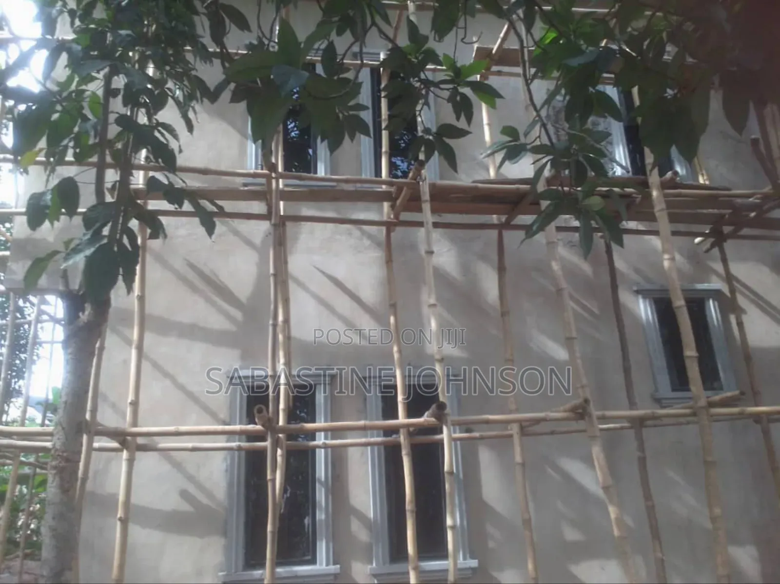 Bamboo Scaffolding