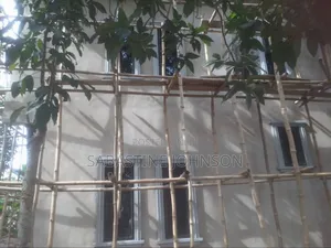 Bamboo Scaffolding