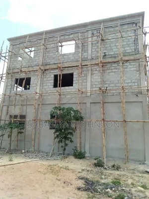 Bamboo Scaffolding