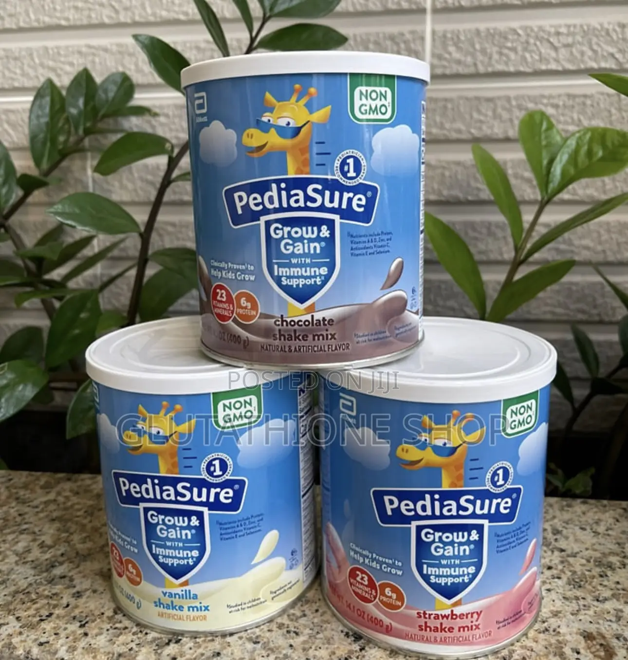 Abbott Pediasure Grow Gain Protein Powder for Kids