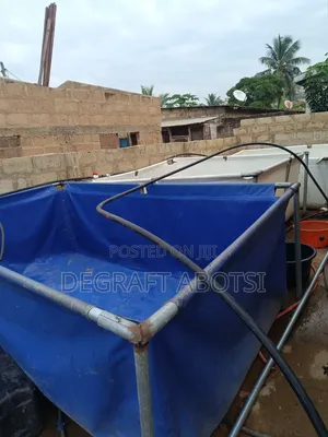 Tarpaulins and Catfish Available at Weija Cool