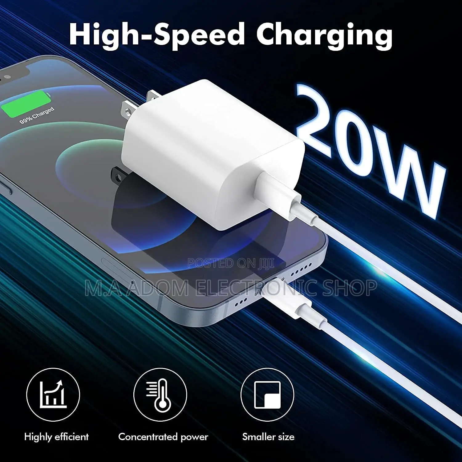 Type C iPhone Travel Charger for All iPhones