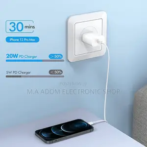 Type C iPhone Travel Charger for All iPhones