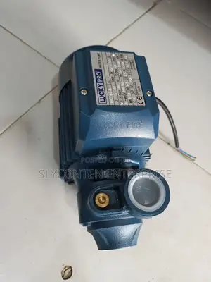 Lucky Pro 0.5hp Water Pump