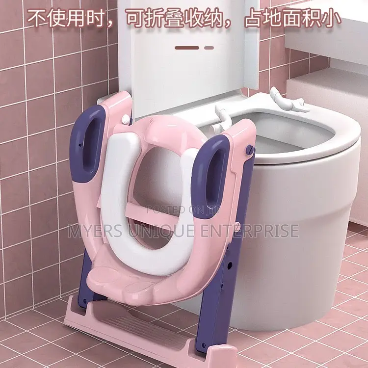 Authentic Kids Toilet Seat/Potty Training Ladder