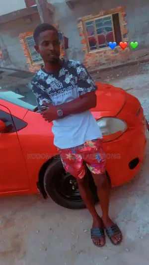 A Professional Driver