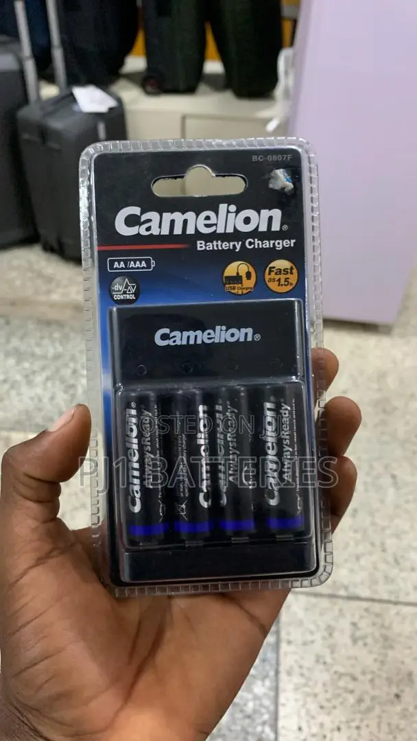 AA Camellion Batteries and Charger