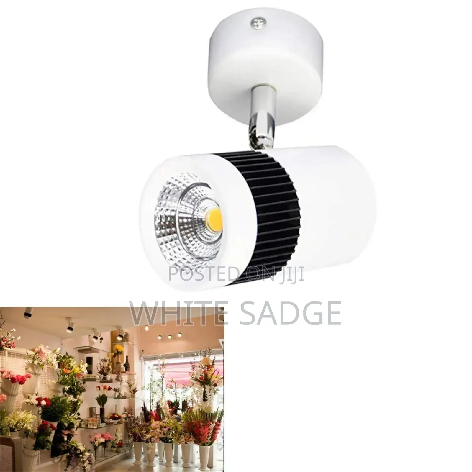 Railess 40watts Focus Light
