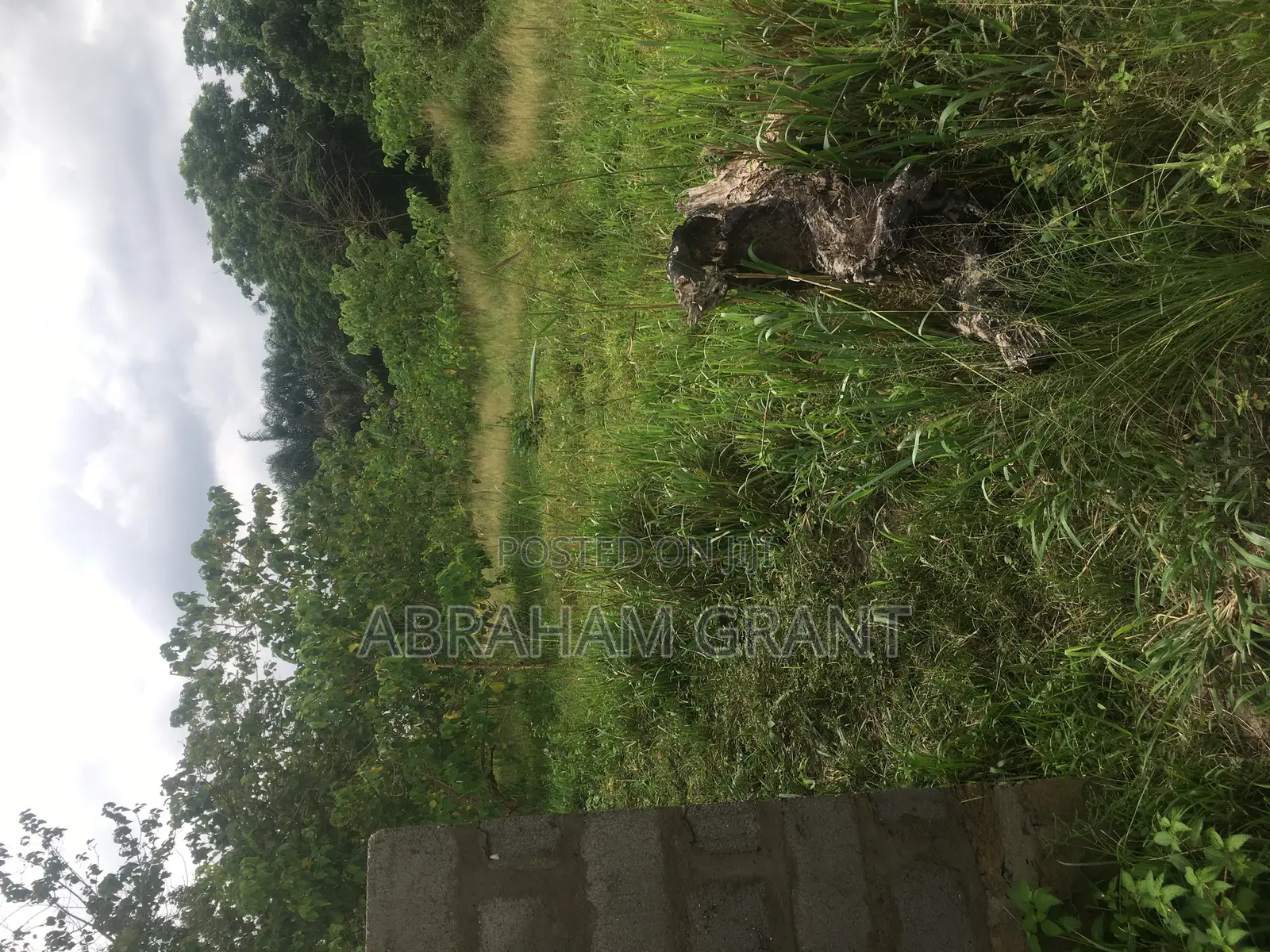 2 Plot of Land for Sale at Ejisu Boankra 