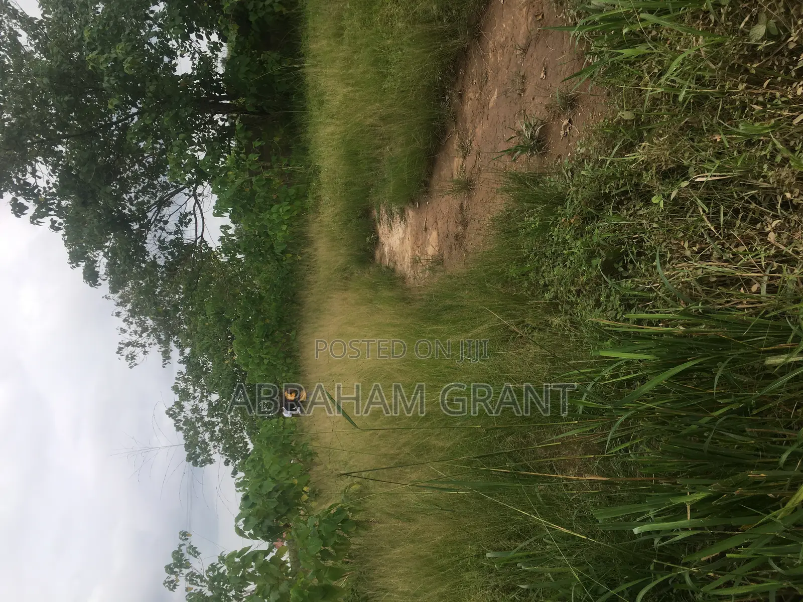 2 Plot of Land for Sale at Ejisu Boankra 