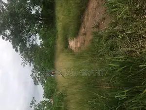 2 Plot of Land for Sale at Ejisu Boankra 