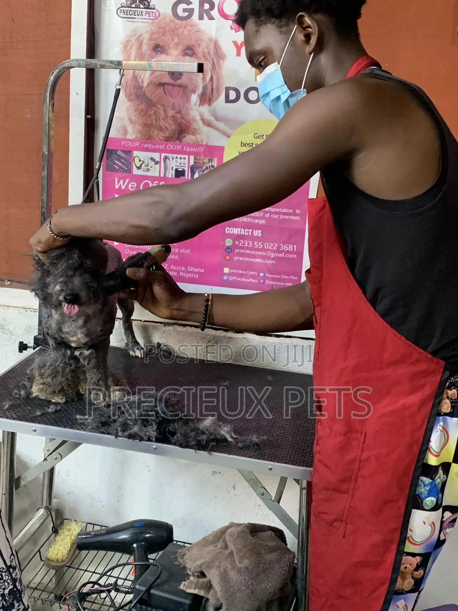 Animal Welfare And Caregivers