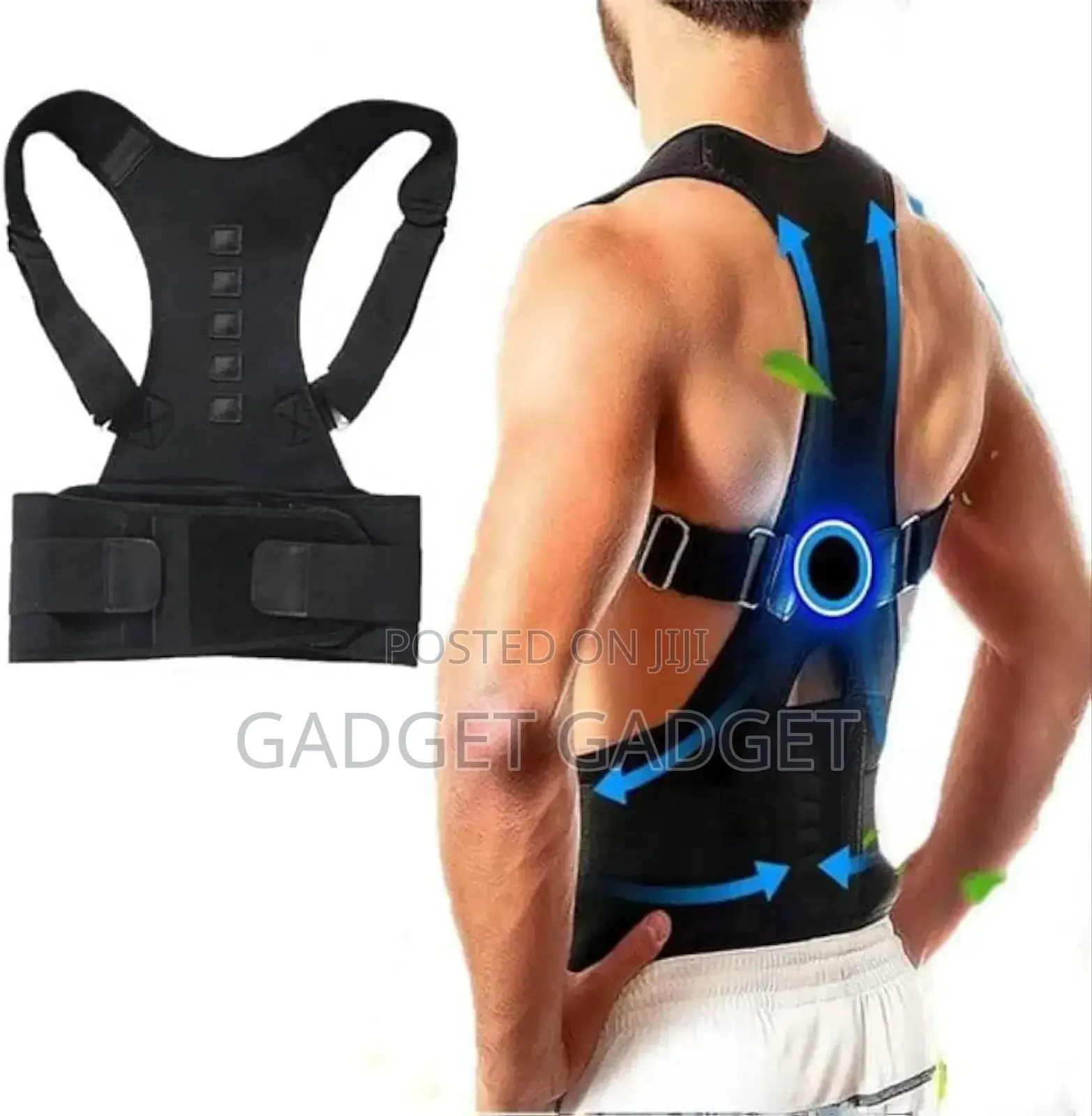 Back Support