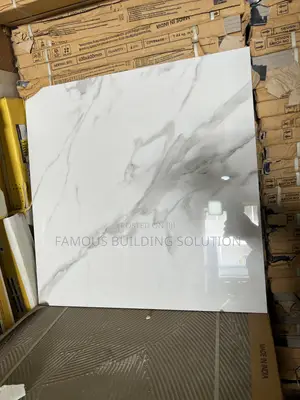 Porcelain Made in India (60/60)