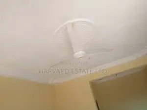 1bdrm Apartment in Tech Apemso Knust, Kumasi Metropolitan for rent