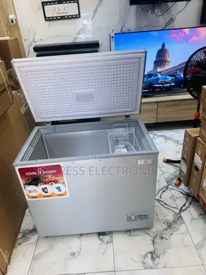 Deep Freeze  Zara-300fl Singer Door Grey Color And