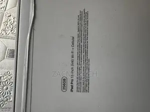 New Apple iPad Pro 13 (2024) 256 GB Gray
