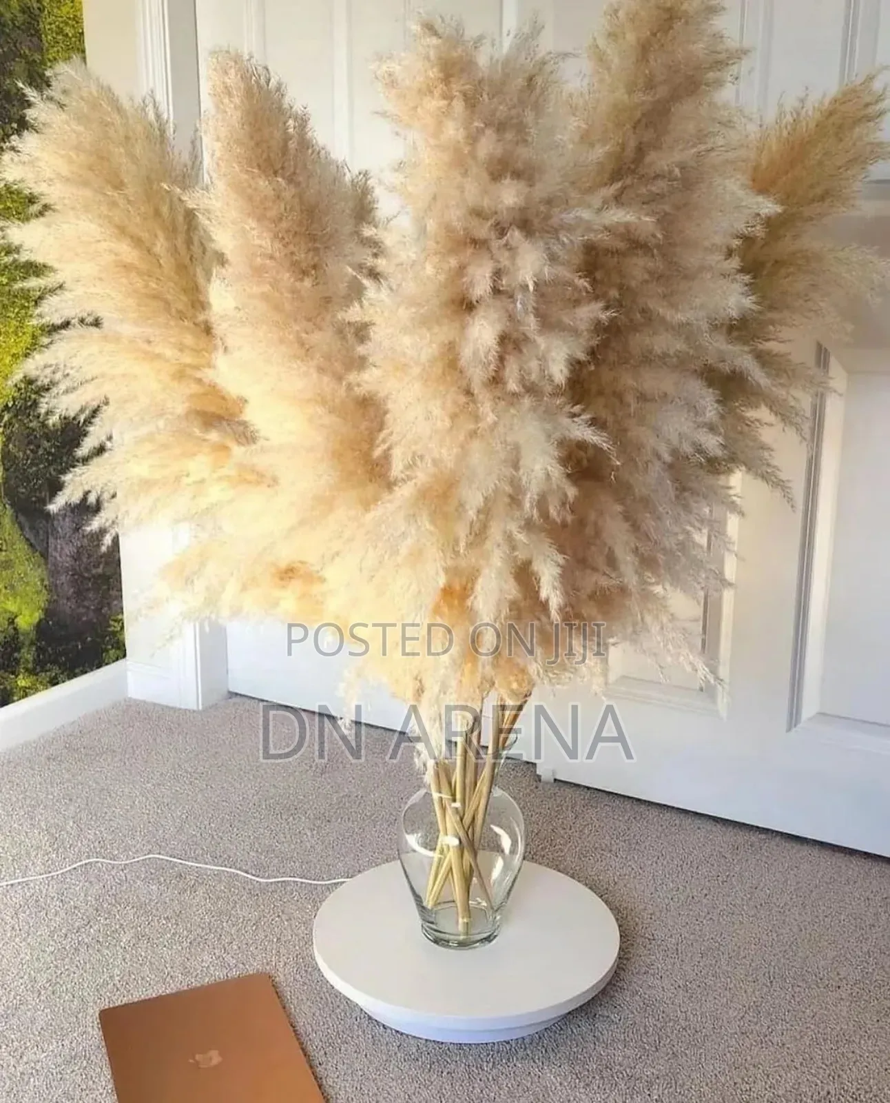 Dried Pampas Grass in 7 Colors 85gh a Stick/ Stem