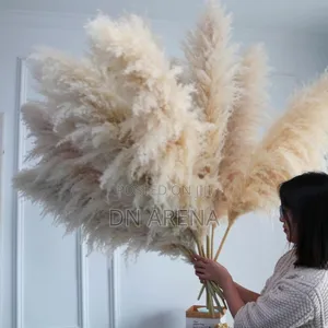 Dried Pampas Grass in 7 Colors 85gh a Stick/ Stem